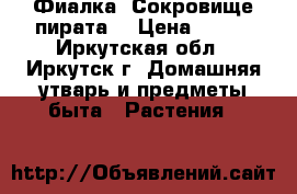 Фиалка “Сокровище пирата“ › Цена ­ 160 - Иркутская обл., Иркутск г. Домашняя утварь и предметы быта » Растения   